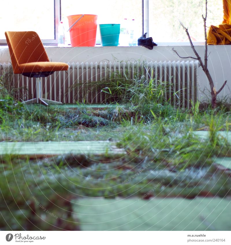 Wohnzimmer Weideland Lifestyle Wohnung einrichten Innenarchitektur Möbel Sessel Stuhl Raum ästhetisch einzigartig innovativ Gras Eimer Zweig verrückt Farbfoto