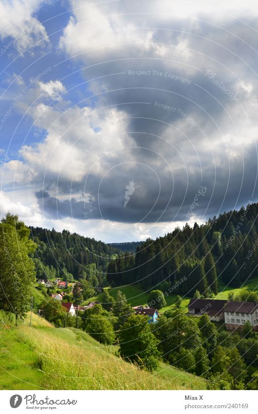 Schwarz im Schwarzwald Ferien & Urlaub & Reisen Ausflug Berge u. Gebirge Natur Landschaft Gewitterwolken Sommer Klima Klimawandel Wetter schlechtes Wetter