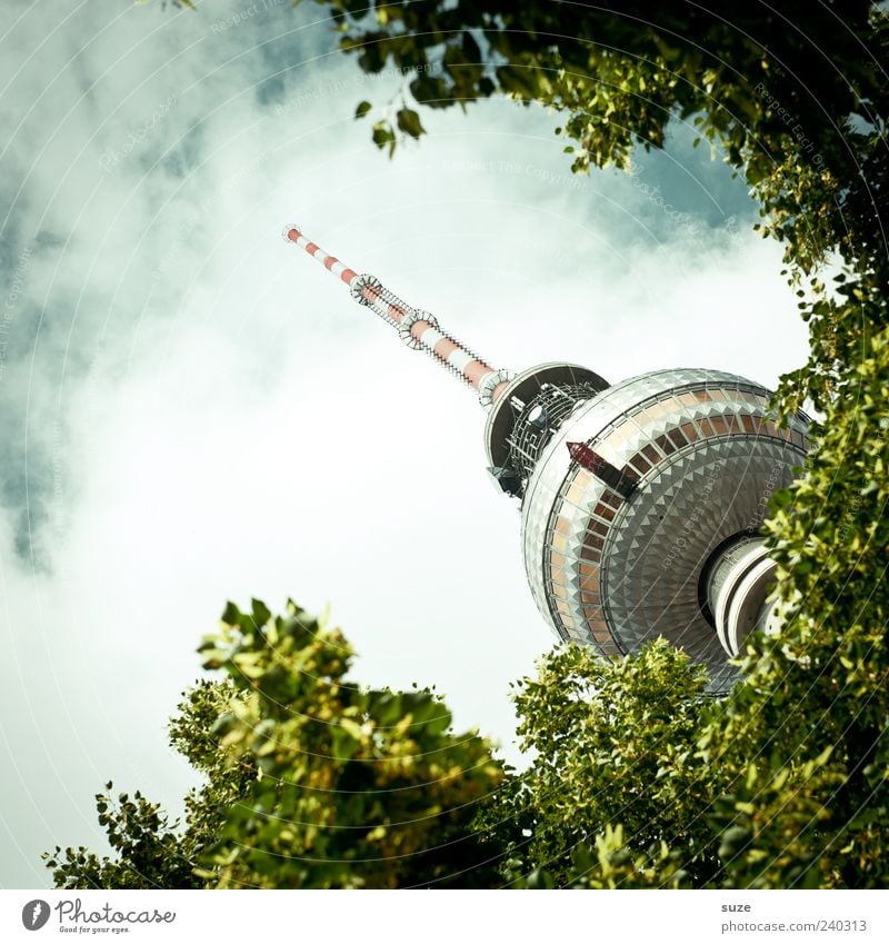Baumspitz Kultur Umwelt Himmel Wolken Wetter Blatt Hauptstadt Turm Bauwerk Sehenswürdigkeit Wahrzeichen grün Tourismus Berlin Deutschland Europa