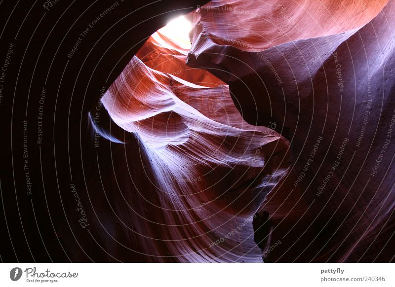 Waves... Umwelt Natur Landschaft Urelemente Antelope Canyon außergewöhnlich fantastisch Stimmung Farbfoto Außenaufnahme abstrakt Strukturen & Formen Tag Licht