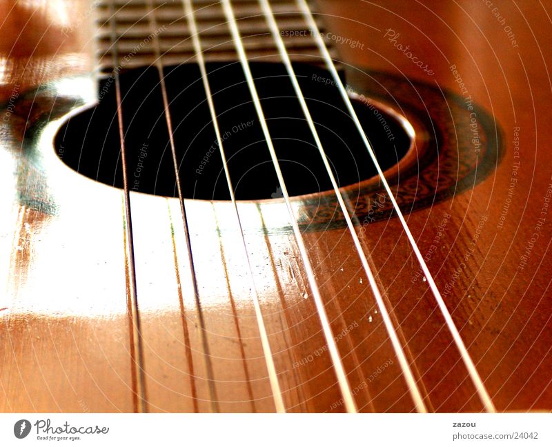 play my guitar again Saite Konzertgitarre Freizeit & Hobby Gitarre Musik Musikinstrument Makroaufnahme