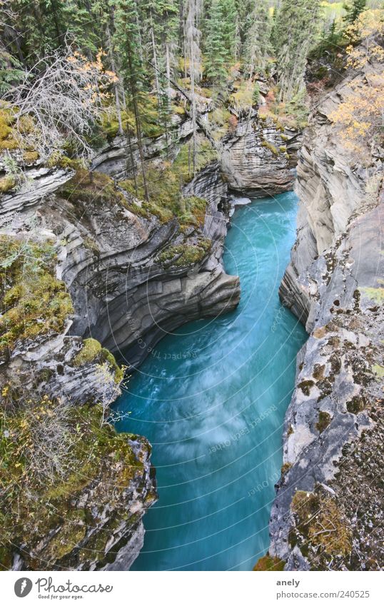 deep blue Expedition Schlucht Felsen Fluss blau Bach Kanada steil Stein grau wild Natur schön fließen beeindruckend Umwelt Landschaft Urelemente Wasser