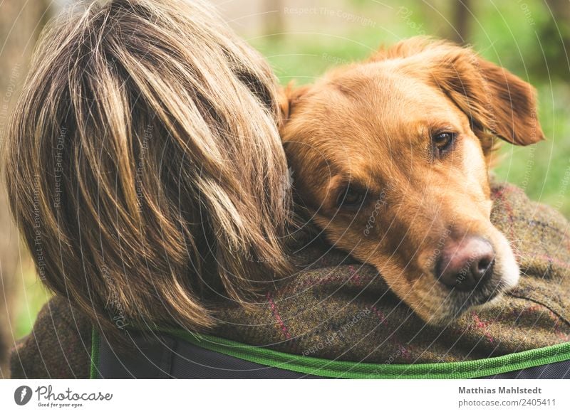 Best friends Hund grün ein lizenzfreies Stock Foto von Photocase
