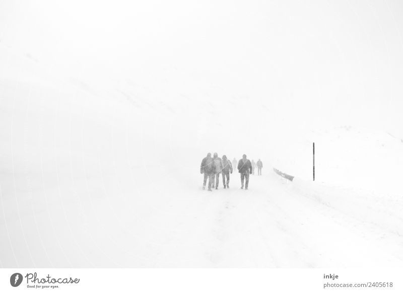 Winter | Jahreszeiten Freizeit & Hobby Ausflug Schnee Winterurlaub wandern Mensch Erwachsene 4 5 6 Menschengruppe Landschaft schlechtes Wetter Nebel Schneefall