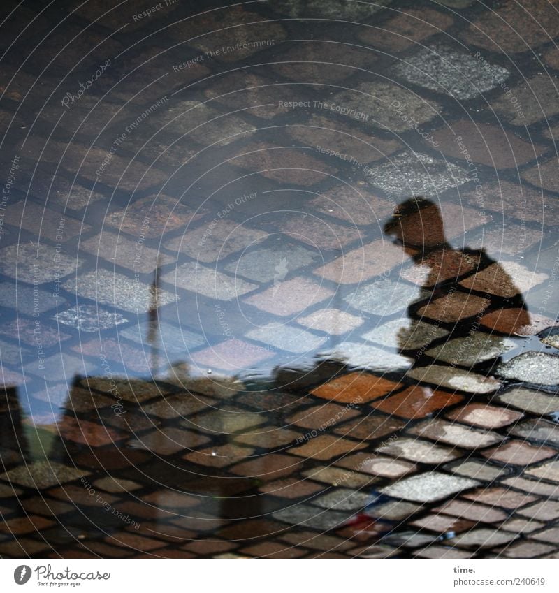 Zwischen Himmel und Erde Stein Pflastersteine Kopfsteinpflaster Pfütze Reflexion & Spiegelung Haus Mann maskulin Fotograf Fotografieren Experiment