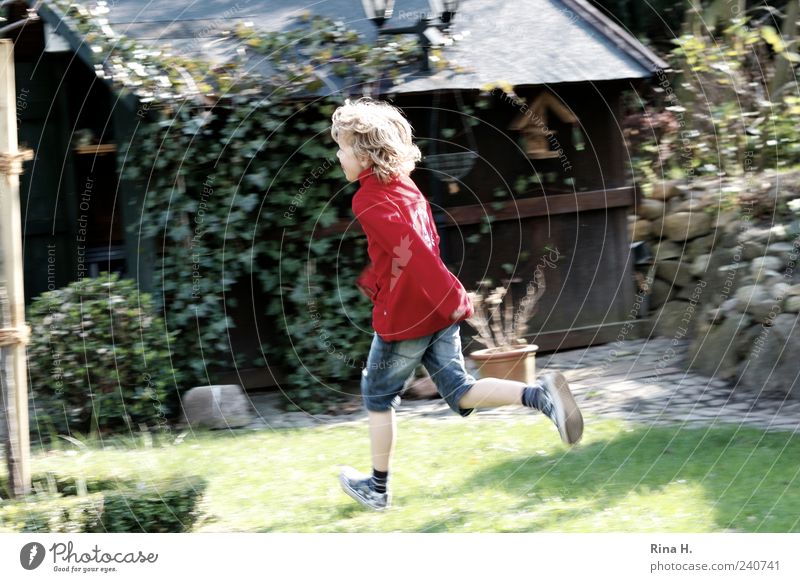 Lauf Junge Mensch maskulin Kind 1 3-8 Jahre Kindheit Garten Jeanshose Turnschuh blond Locken rennen laufen Spielen authentisch Fröhlichkeit wild mehrfarbig grün