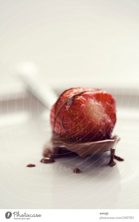 Schokobeere Frucht Dessert Teller Löffel lecker weiß Schokolade Erdbeeren Kalorie süß Farbfoto Innenaufnahme Studioaufnahme Nahaufnahme Menschenleer