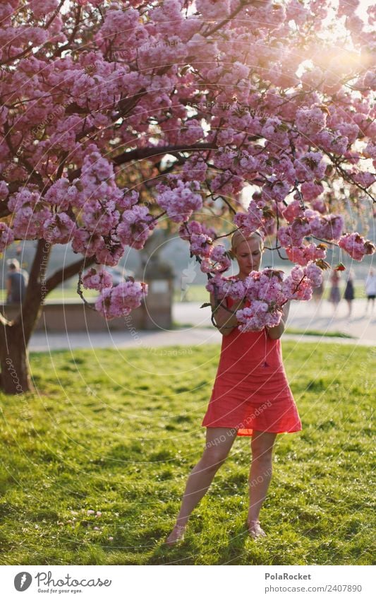 #A# Frühlingsblüter Kunst ästhetisch Natur Naturliebe Naturerlebnis Blüte Frühlingsgefühle Frühlingstag Frühlingsfarbe Frühlingsfest Frau Außenaufnahme rosa