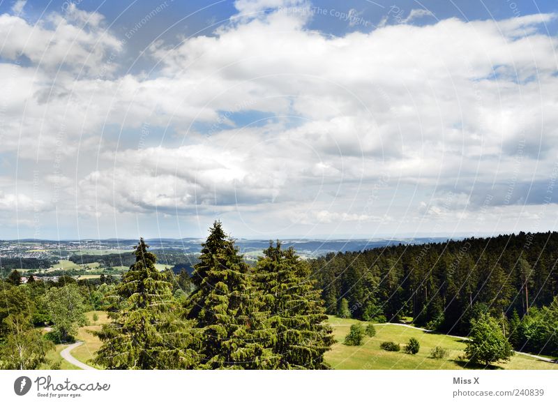 Postkarte Ferien & Urlaub & Reisen Ausflug Natur Landschaft Himmel Wolken Sommer Wetter Schönes Wetter Baum Wiese Wald Hügel grün Erholung Freiheit Horizont