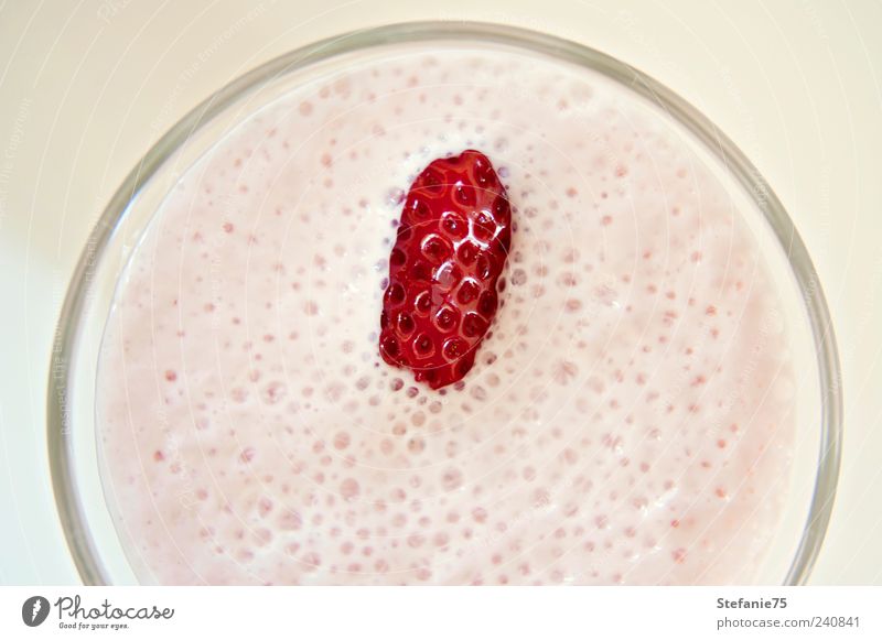 Erdbeer-Milchshake Joghurt Frucht Erdbeeren Getränk Erfrischungsgetränk Glas Gesundheit Leben genießen trinken Coolness einfach Fröhlichkeit saftig süß rot