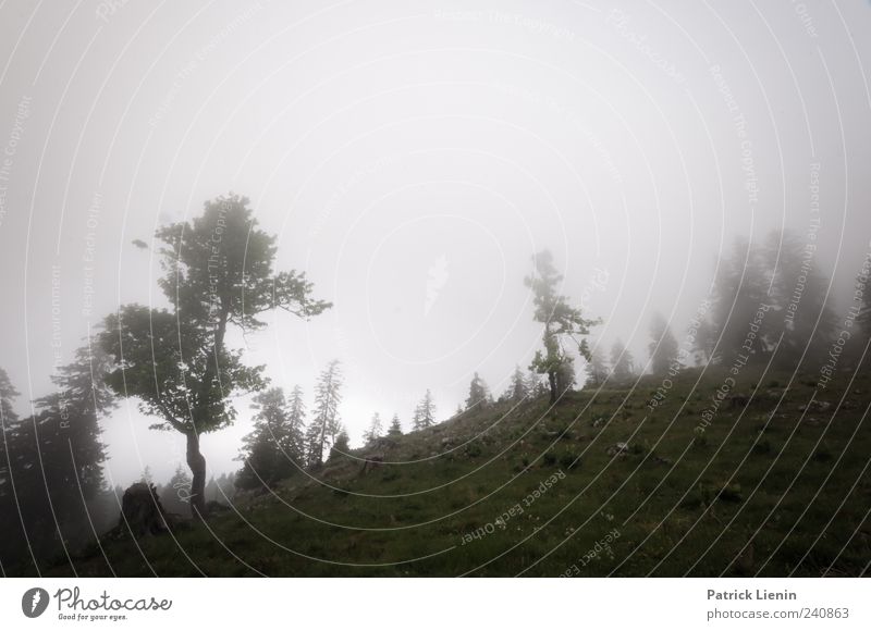 Off the road Umwelt Natur Landschaft Urelemente Wolken Klima Wetter schlechtes Wetter Wind Nebel Baum Wiese Hügel Felsen Berge u. Gebirge dunkel grau Einsamkeit