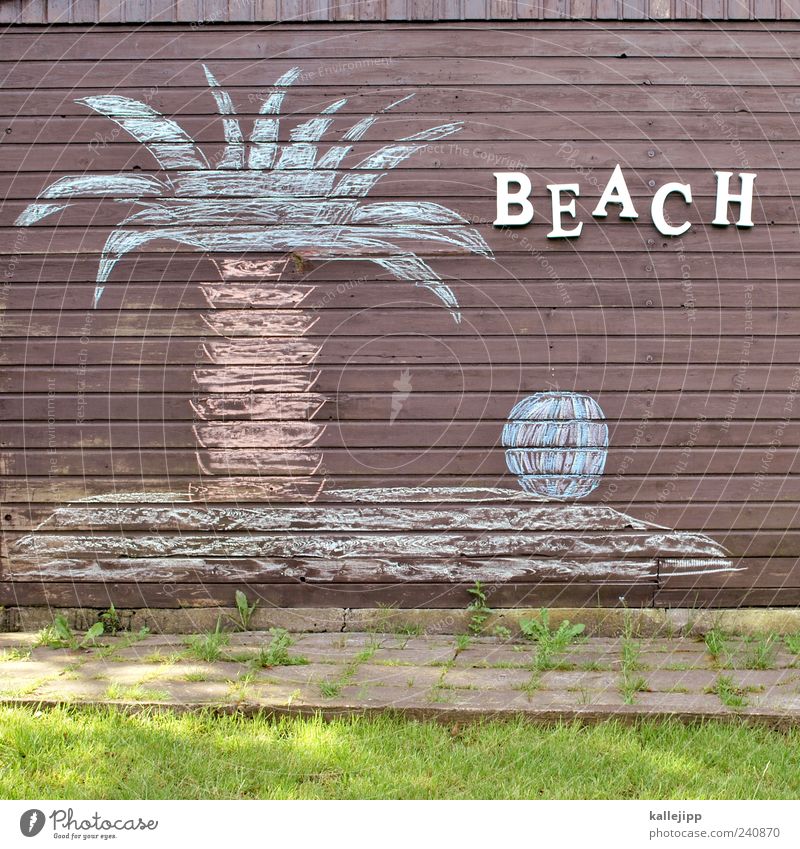 beach boys Lifestyle Freude Glück Ferien & Urlaub & Reisen Tourismus Ferne Sommer Sommerurlaub Strand Meer Insel Umwelt Natur Landschaft Pflanze Baum