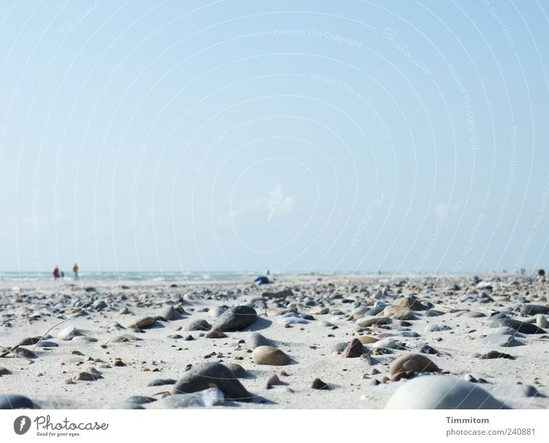 Menschen am Meer Ferien & Urlaub & Reisen Sommer Strand Umwelt Natur Sand Himmel Schönes Wetter Nordsee Dänemark Stein gehen Blick groß blau grau Gefühle