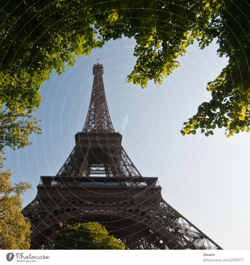 Architeknatur Ferien & Urlaub & Reisen Tourismus Sightseeing Städtereise Pflanze Baum Blatt Paris Frankreich Europa Hauptstadt Turm Bauwerk Architektur