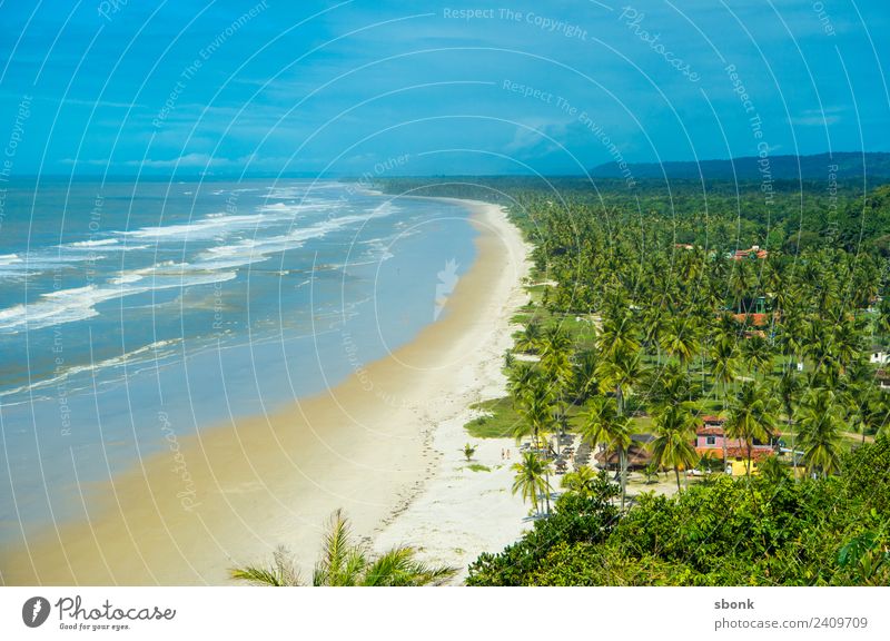 Bahia, Brasilien Ferien & Urlaub & Reisen Strand Wetter Schönes Wetter Wellen Küste ocean water tropical vacation palm tree Südamerika tropisch Farbfoto