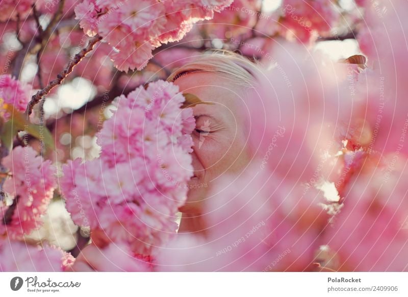 #A# Heuschnupfen in Rosa Kunst Kunstwerk ästhetisch Frühling Frühlingsgefühle Frühlingsblume Frühlingstag Frühlingsfarbe Frühlingsfest Geruch Duft rosa