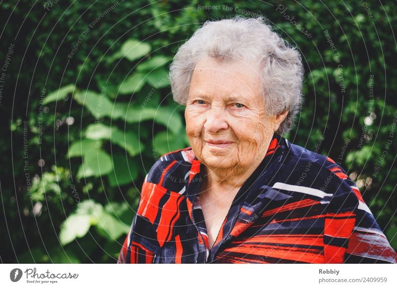 Großmütterchen V Weiblicher Senior Frau Großmutter 60 und älter weißhaarig alt natürlich grün rot Lächeln Ruhestand Altersversorgung Hautfalten Lebensalter