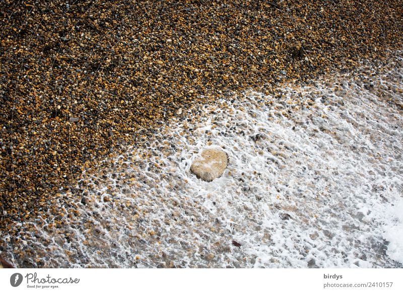 Strandsequenz Urelemente Wasser Küste Meer Bewegung authentisch einfach Flüssigkeit natürlich braun gelb grau weiß Natur Symmetrie Wandel & Veränderung Schaum