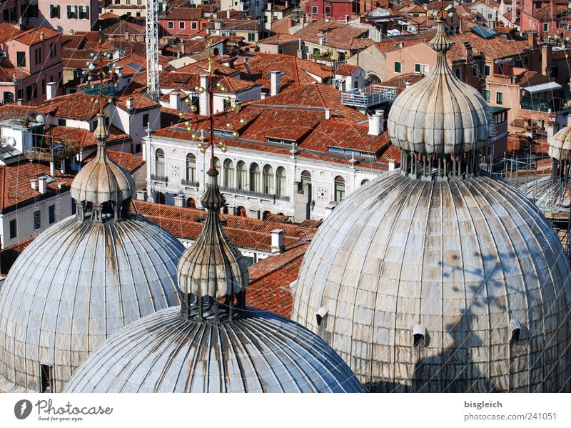 Basilica di San Marco / Venedig V Italien Europa Stadt Hafenstadt Stadtzentrum Altstadt Menschenleer Kirche Dom Sehenswürdigkeit San Marco Basilica braun grau