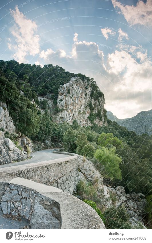 Mallorca X Natur Landschaft Pflanze Himmel Wolken Schönes Wetter Baum Sträucher Wald Felsen Mauer Wand saftig schön grau grün Straße Stein Serpentinen Kurve
