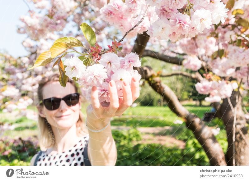 Den Frühling fest im Griff feminin Junge Frau Jugendliche 1 Mensch 30-45 Jahre Erwachsene Natur Schönes Wetter Baum Blüte Park blond berühren Blühend natürlich