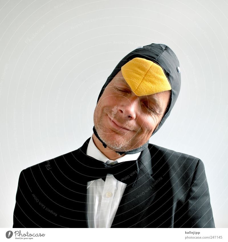 nur fliegen wäre schöner Mensch maskulin Mann Erwachsene Kopf Gesicht 1 30-45 Jahre Tier Vogel Pinguin Anzug Smoking elegant Karneval Karnevalskostüm