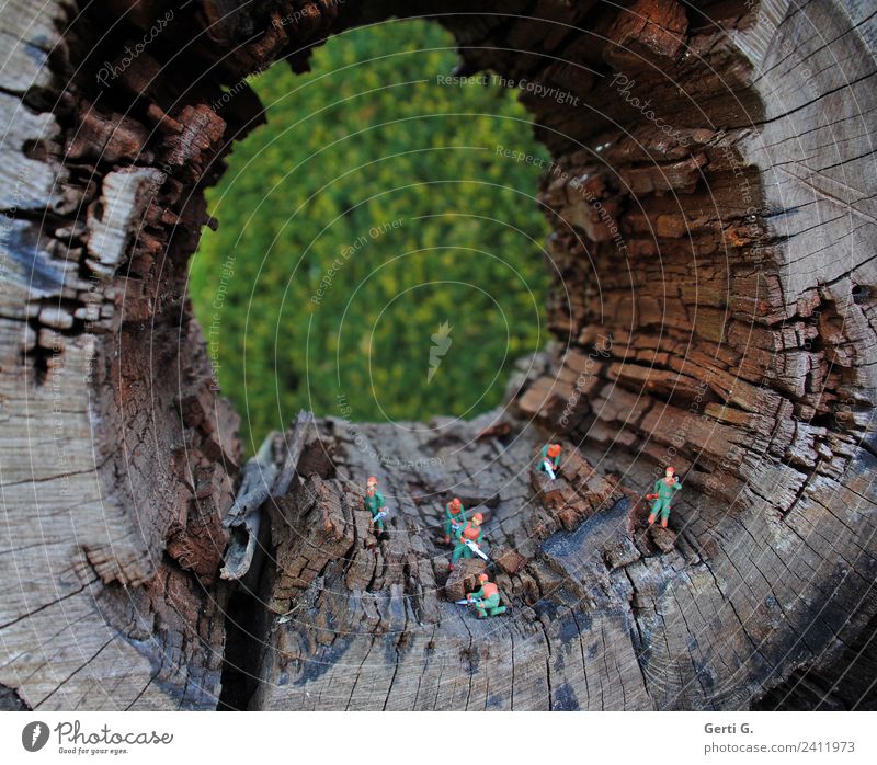 ja sind wir im Wald hier... Handwerker Baumpfleger Waldarbeiter Holzfäller Landwirtschaft Agrarprodukt Agrartechniker Forstwirtschaft Kettensäge Säge Maschine