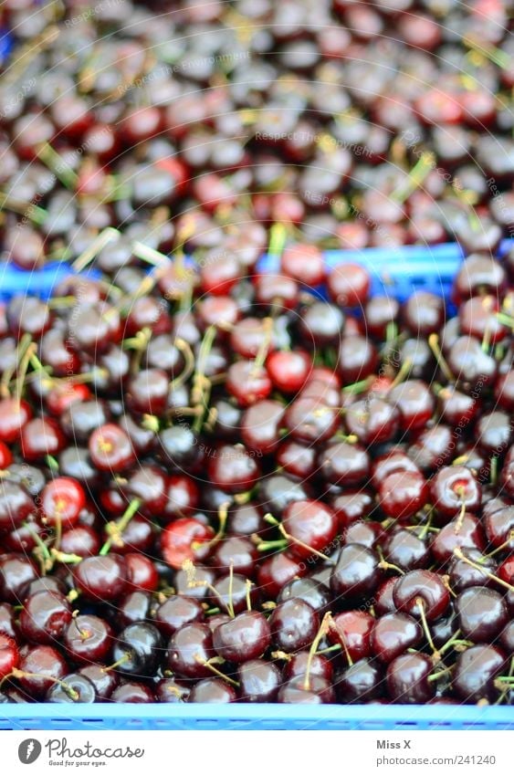 100 000 Kirschen Lebensmittel Frucht Ernährung Bioprodukte Vegetarische Ernährung frisch lecker saftig sauer süß rot Appetit & Hunger Obstkiste Wochenmarkt