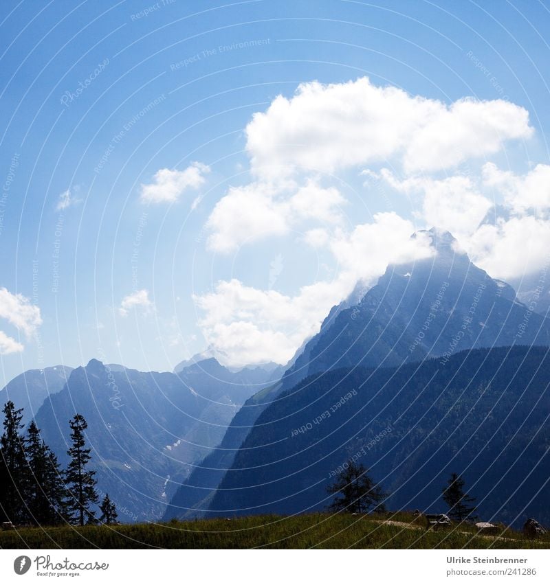 Auffi muas i Natur Landschaft Luft Himmel Wolken Sommer Schönes Wetter Baum Gras Alpen Berge u. Gebirge Watzmann Gipfel groß hoch Spitze Bergkette massiv