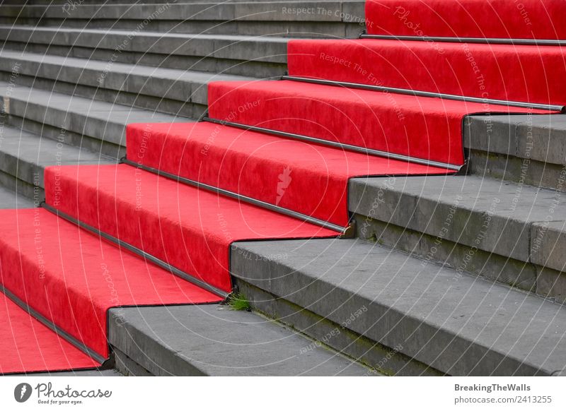 Nahaufnahme des roten Teppichs über der grauen Betontreppe Design Feste & Feiern Bauwerk Gebäude Architektur Treppe Stein Perspektive Treppenhaus steigen