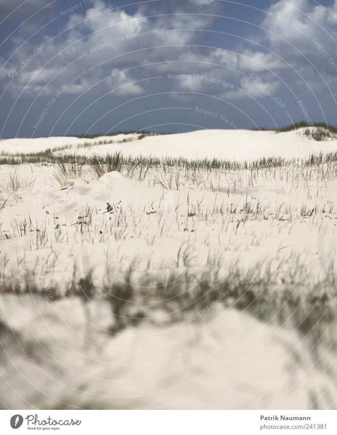 Sand im Sucher Landschaft Wolken Gras Strand Nordsee St. Peter-Ording entdecken Erholung Ferne frei Unendlichkeit weich blau gold grün ästhetisch Zufriedenheit