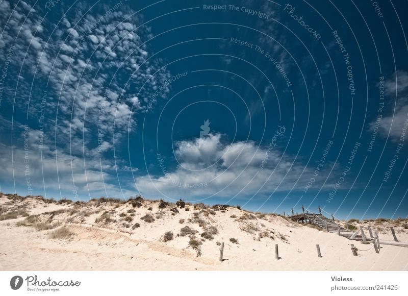 Steps into the land of dreams Natur Landschaft Sand Himmel Wolken Strand Erholung blau Gefühle Freude Portugal Algarve Gale Ferien & Urlaub & Reisen Farbfoto