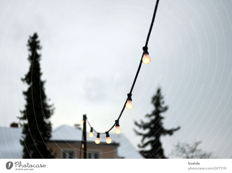 Lichterkette Schnee Baum frieren träumen grau weiß ruhig Glühbirne Tanne Haus Himmel vorweihnachtszeit leuchten Nadelbaum Kabel Fenster Strommast Farbfoto