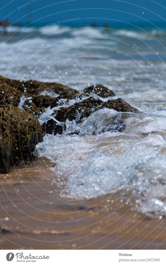 Splash again Natur Wasser Wassertropfen Strand kalt nass Urlaub Wellen Portugal Algarve Gale Stein Farbfoto Außenaufnahme Textfreiraum oben