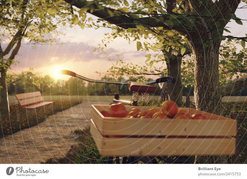 Rast einlegen Apfel Ernährung Bioprodukte Vegetarische Ernährung Lifestyle Freizeit & Hobby Ausflug Sommer Sport Fahrrad Natur Sonne Sonnenaufgang