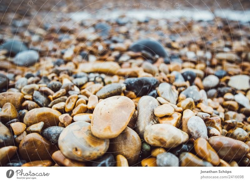 Steinstrand in England Umwelt Natur Landschaft fest Brighton Strand Strandspaziergang nass kalt rund Meer Detailaufnahme achtsam ansammeln finden hart