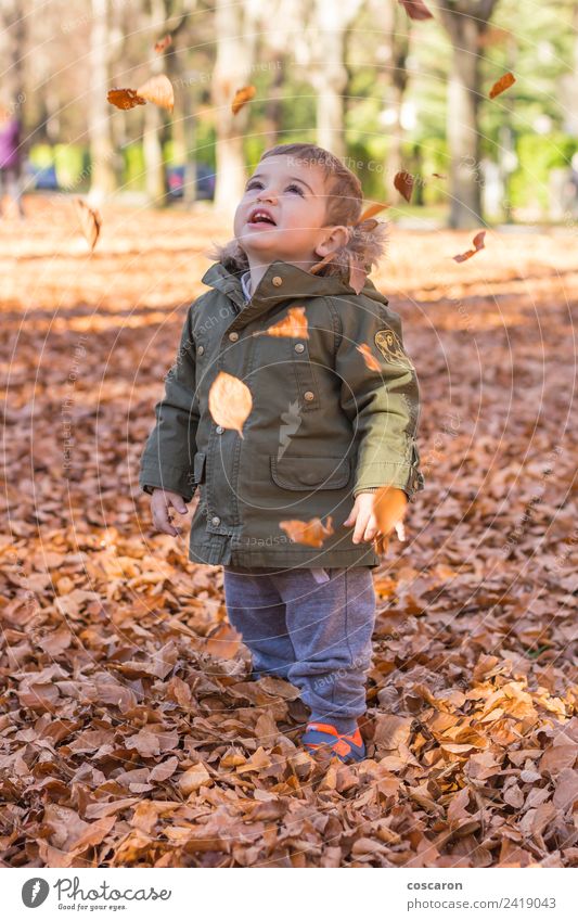 Süßes Baby sieht fallende Blätter Freude Kind Junge Mann Erwachsene Kindheit Hand Umwelt Natur Landschaft Herbst Wärme Baum Gras Blatt Park Bekleidung