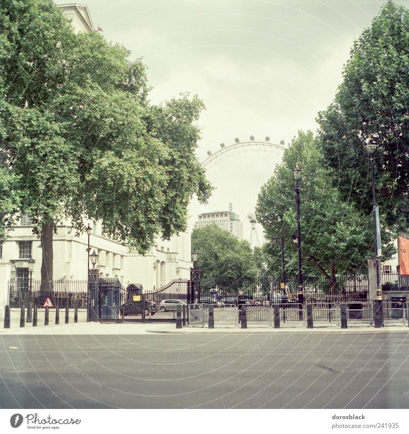london 1. London London Eye England Großbritannien Europa Hauptstadt Altstadt Menschenleer Haus Platz Gebäude Sehenswürdigkeit ästhetisch analog Quadrat Baum