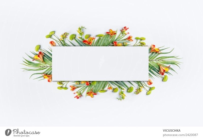 Rahmen mit tropischen Palmblättern und Blumen Stil Design Ferien & Urlaub & Reisen Sommer Natur Pflanze Blatt Blüte Fahne trendy Hintergrundbild Hipster