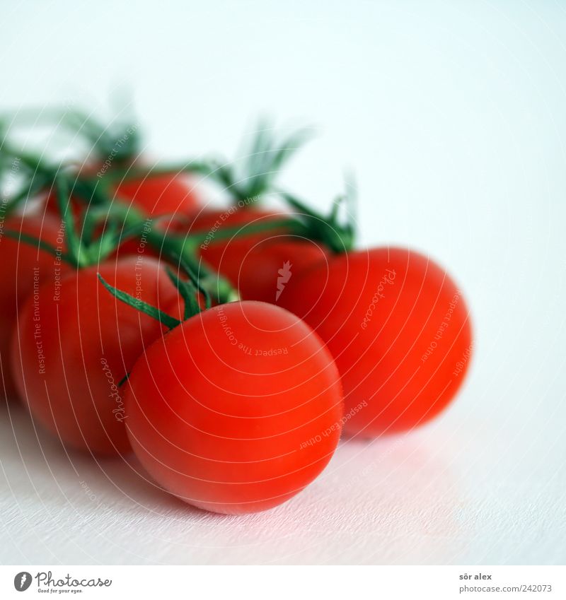 rotweiß Lebensmittel Gemüse Bioprodukte Vegetarische Ernährung Diät Tomate frisch lecker natürlich rund grün Teamwork Strauchtomate Gesunde Ernährung