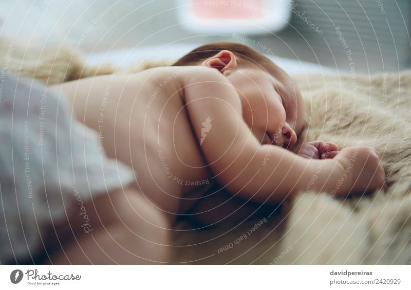 Neugeborenes schlafend auf Decke liegend schön Windstille Schlafzimmer Kind Mensch Baby Frau Erwachsene Kindheit authentisch klein nackt niedlich bequem