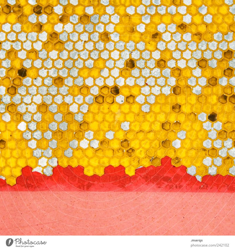 Bee Stil Design Zeichen Bienenwaben Wabenmuster viele gelb rosa Farbe Ordnung skurril Farbfoto mehrfarbig Detailaufnahme abstrakt Muster Strukturen & Formen