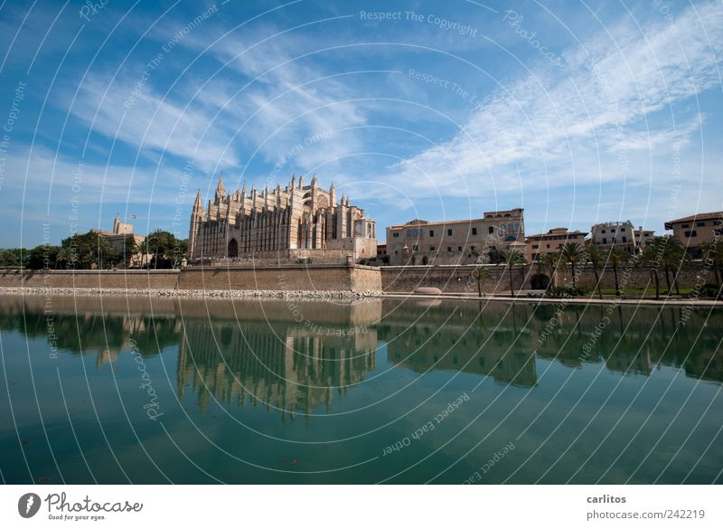 Postkarte aus Palma Luft Wasser Himmel Schönes Wetter Kirche Sehenswürdigkeit alt ästhetisch gigantisch blau Glaube Religion & Glaube Symmetrie Tourismus