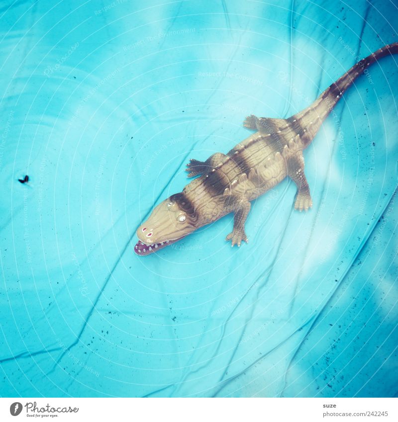 Wellnessi Freude Sommer Schwimmbad Wasser Fliege Spielzeug liegen warten lustig nass blau gefährlich Krokodil hell-blau Gummi Bodenbelag Figur Wasseroberfläche