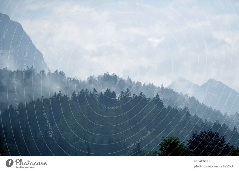 Hans Dampf auf allen Hügeln Natur Landschaft Luft Wasser Wolken Klima Wetter Schönes Wetter schlechtes Wetter Regen Baum Alpen Berge u. Gebirge ästhetisch Wald