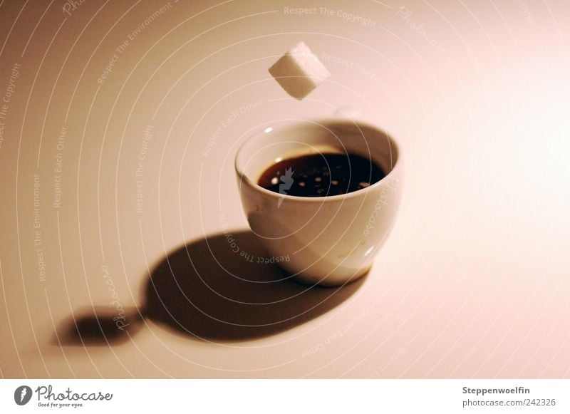 Zuckerwürfelflug Lebensmittel Kaffeetrinken Getränk Heißgetränk Espresso Tasse fallen werfen Würfelzucker fliegend Schweben stagnierend gefroren Schlag absurd
