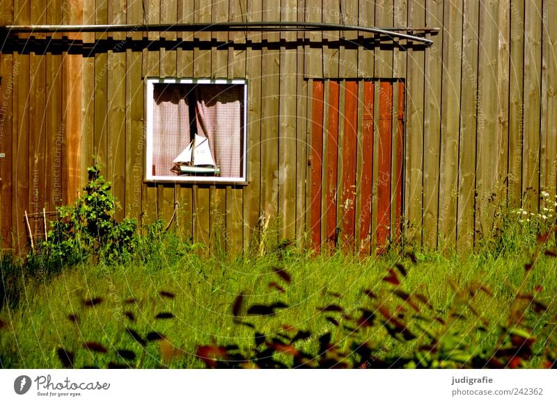 Hafenidylle Pflanze Gras Fischerdorf Haus Hütte Bauwerk Gebäude Mauer Wand Fassade Fenster Tür einfach Kitsch Segelboot Gardine Farbfoto Außenaufnahme