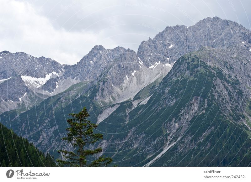 Hahntennjoch Natur Landschaft Himmel Wolken schlechtes Wetter Felsen Alpen Berge u. Gebirge Gipfel Schneebedeckte Gipfel hoch Baum Wald Berghang Bergkette