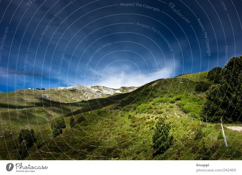 2000 m.ü.M Umwelt Natur Landschaft Himmel Wolkenloser Himmel Sonnenlicht Sommer Schönes Wetter Gras Sträucher Wildpflanze Alpen Berge u. Gebirge Gipfel wandern