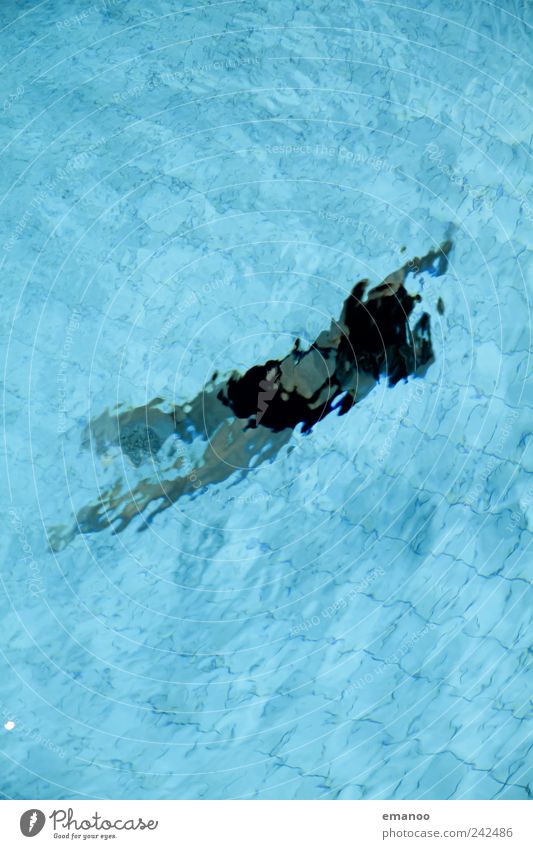verschwimmen Lifestyle Freude Erholung Schwimmen & Baden Freizeit & Hobby Sport Wassersport tauchen Schwimmbad Mensch feminin Frau Erwachsene Körper 1 Luft